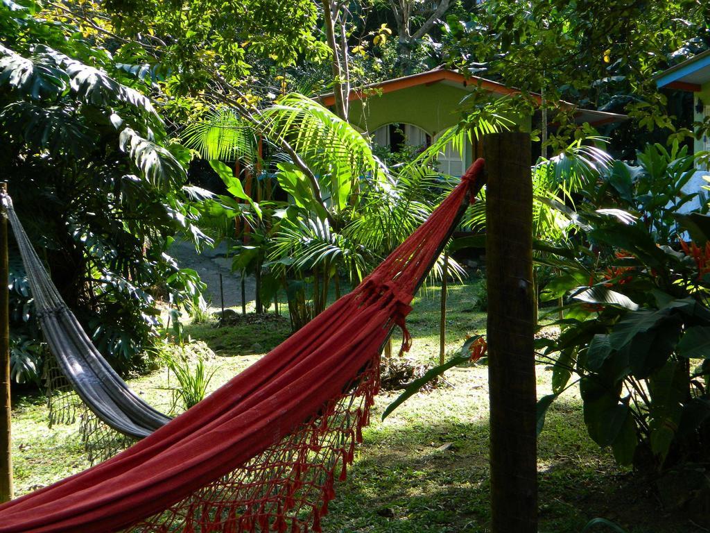 Bicho Do Mato Suites Guapimirim Ngoại thất bức ảnh