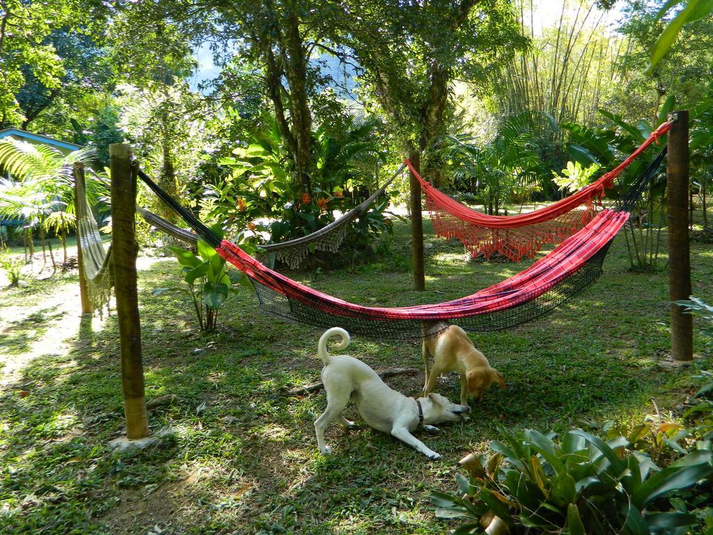Bicho Do Mato Suites Guapimirim Ngoại thất bức ảnh