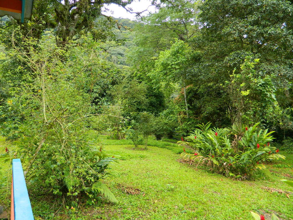 Bicho Do Mato Suites Guapimirim Ngoại thất bức ảnh