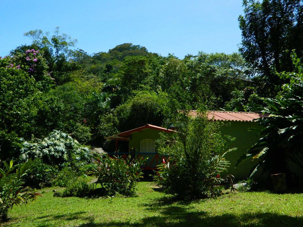 Bicho Do Mato Suites Guapimirim Ngoại thất bức ảnh
